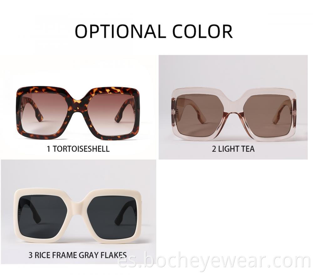 S21001 Sunglasses